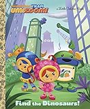 Find the Dinosaurs! (Team Umizoomi) livre