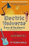 Electric Universe: How Electricity Switched on the Modern World livre