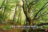 Der deutsche Wald - Ein literarischer Spaziergang - Kalender 2019 livre