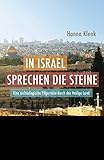 In Israel sprechen die Steine: Eine archäologische Pilgerreise durch das Heilige Land (Faszination livre