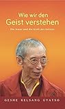 Wie wir den Geist verstehen: Die Natur und die Kraft des Geistes livre