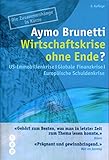 Wirtschaftskrise ohne Ende?: US-Immobilienkrise | Globale Finanzkrise | Europäische Schuldenkrise livre