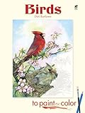 Birds to Paint or Color livre