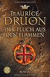 Der Fluch aus den Flammen: Historischer Roman livre