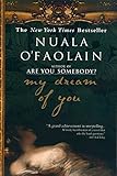 My Dream of You livre