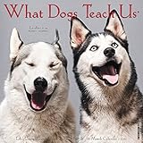 What Dogs Teach Us 2017 Calendar livre