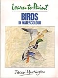 Learn to Paint Birds in Watercolour livre