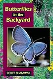 Butterflies in the Backyard (English Edition) livre