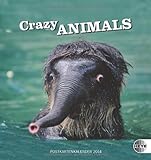 Crazy Animals 2014 Postkartenkalender livre
