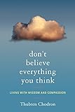 Don't Believe Everything You Think: Living with Wisdom and Compassion livre