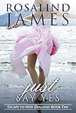Just Say Yes (Escape to New Zealand Book 10) (English Edition) livre