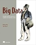 Big Data:Principles and best practices of scalable realtime data systems. livre