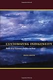 Customizing Indigeneity: Paths to a Visionary Politics in Peru (English Edition) livre