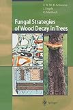 Fungal Strategies of Wood Decay in Trees livre