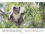 Australien 2018 - Australia - Bildkalender XXL (64 x 48) - Landschaftskalender - Naturkalender livre