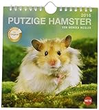 Putzige Hamster Postkartenkalender 2016 livre