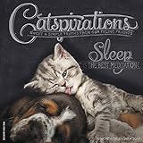 Catspirations 2017 Calendar: Sweet & Simple Truths from Our Feline Friends livre