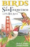 Birds of San Francisco and the Bay Area livre