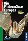 Naturführer Fledermäuse Europas: Alle Arten erkennen und sicher bestimmen livre