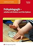 Frühpädagogik - arbeiten mit Kindern von 0 bis 3 Jahren: Ein Lehrbuch für sozialpädagogische Ber livre