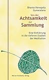 Von der Achtsamkeit zur Sammlung: Eine Einführung in die tieferen Stadien der Meditation livre