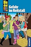 Die drei !!!, 13, Gefahr im Reitstall livre