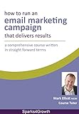 How To Run An Email Marketing Campaign That Delivers Results: For Small Businesses or People New to livre