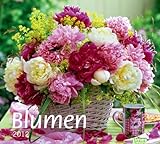times & more Bildkalender Blumen 2012 livre