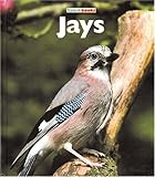 Jays livre