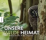 Unsere wilde Heimat: Vom Bodensee bis in die Vogesen livre