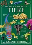 Tiere livre