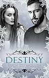 Destiny - Euch zu wollen (Frankfurt In Love 3) livre