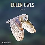 Eulen 2017 - Broschürenkalender livre