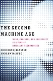 The Second Machine Age: Work, Progress, and Prosperity in a Time of Brilliant Technologies (English livre