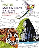 Malen nach Zahlen: Nature livre