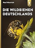 Die Wildbienen Deutschlands livre