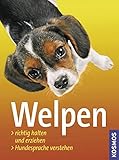 Welpen: Richtig halten und erziehen, Hundesprache verstehen livre