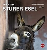 Esel Postkartenkalender - Kalender 2017 livre