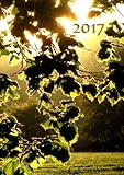 dicker TageBuch Kalender 2017 - Blätter in der Abendsonne: Endlich genug Platz für dein Leben! 1 T livre