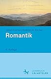 Romantik: Lehrbuch Germanistik livre