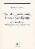 Von der Einstellung bis zur Kündigung: Arbeitsrecht für Arbeitgeber und Vorgesetzte livre