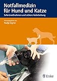 Notfallmedizin für Hund und Katze: Sofortmaßnahmen und sichere Aufarbeitung livre