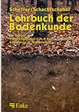 Lehrbuch der Bodenkunde livre