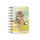 Kittens 2017 - Tierkalender, Buchkalender, Pocket Diary, Katzen - 8,8 x 13 cm livre