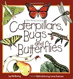 Caterpillars, Bugs and Butterflies: Take-Along Guide (Take Along Guides) (English Edition) livre
