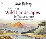 Painting Wild Landscapes in Watercolour livre