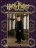 Harry Potter Poster Collection: QUINTESSENTIAL IMAGES livre