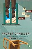 A Voice in the Night livre