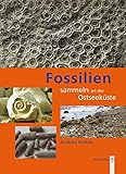 Fossilien sammeln an der Ostseeküste: Trilobiten, Seeigel, Donnerkeile und Co. - Fossilführende Ge livre