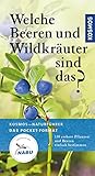 Welche Beeren und Wildkräuter sind das?: 130 essbare Pflanzen und Beeren einfach bestimmen (Kosmos- livre